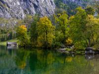 Erste Herbstfärbung an den Bäumen am Oberseeufer nahe Fischunkelalm